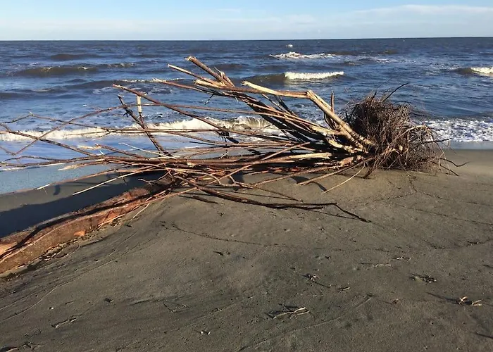 Apartman Mini Chaleureuse Avec Vue Imprenable *